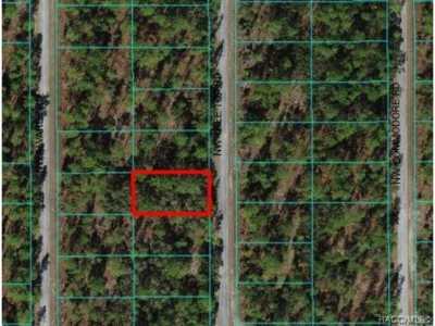 Residential Land For Sale in Dunnellon, Florida