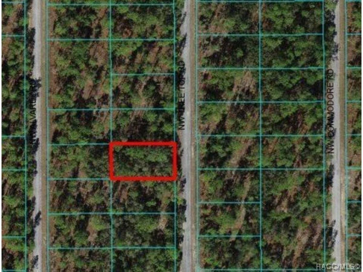 Picture of Residential Land For Sale in Dunnellon, Florida, United States