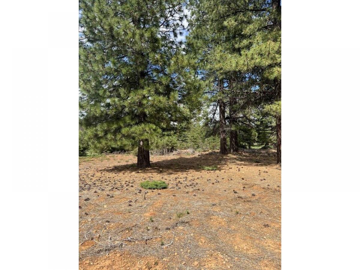 Picture of Residential Land For Sale in Lake Almanor, California, United States