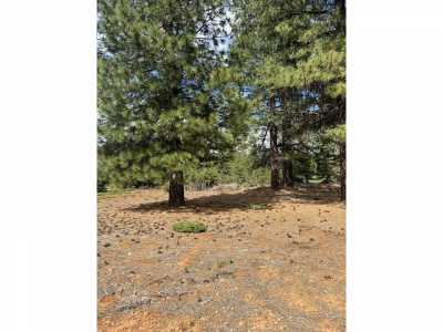 Residential Land For Sale in Lake Almanor, California