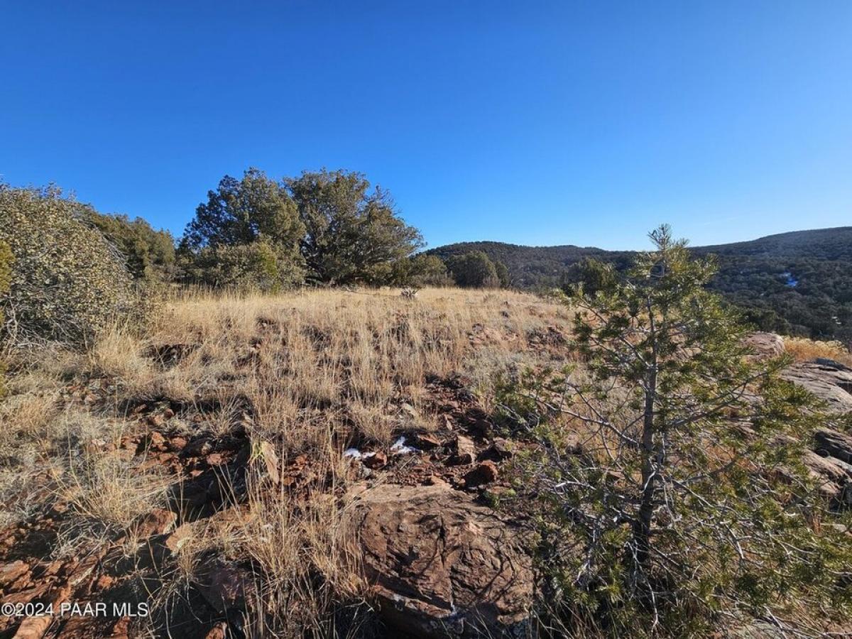 Picture of Residential Land For Sale in Seligman, Arizona, United States