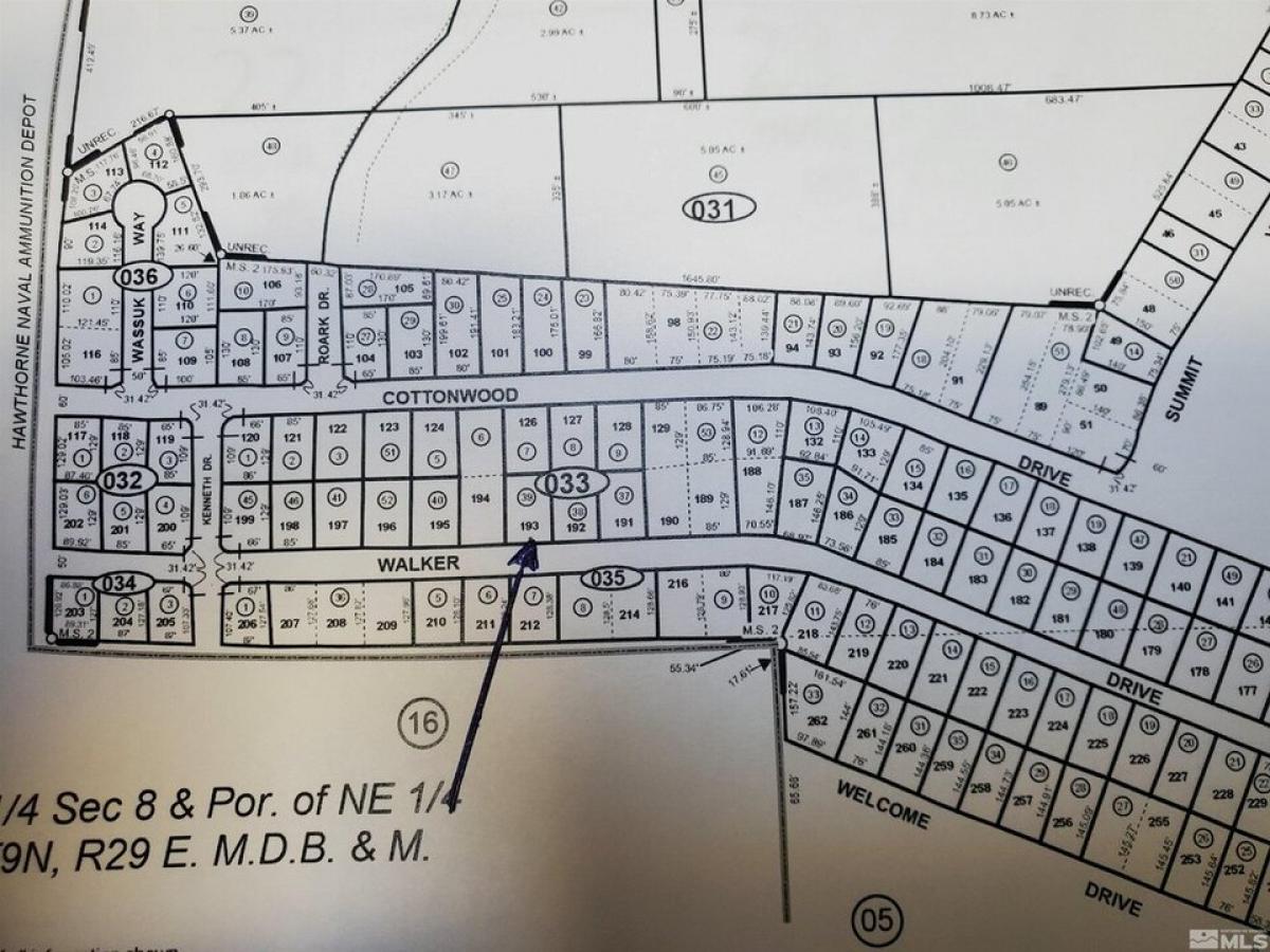 Picture of Residential Land For Sale in Walker Lake, Nevada, United States