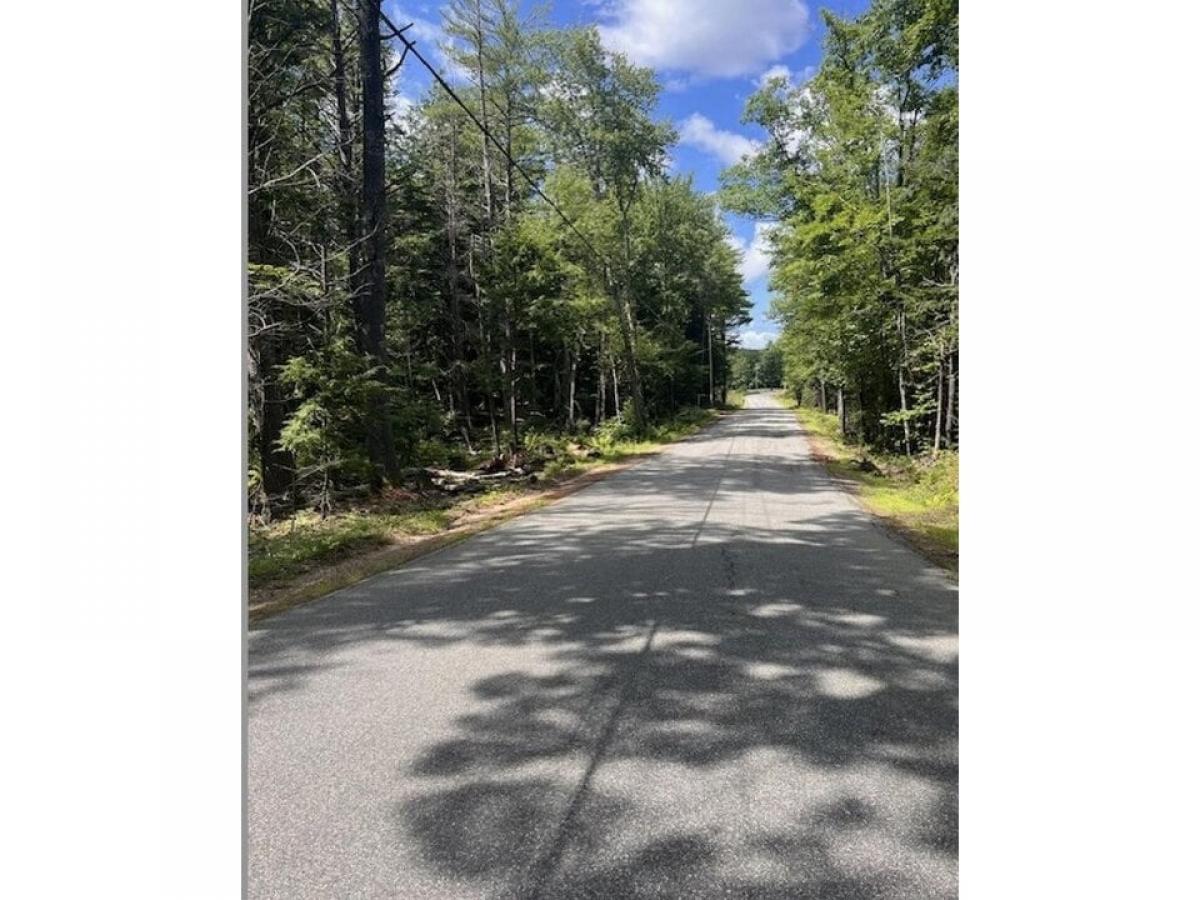 Picture of Residential Land For Sale in Strafford, New Hampshire, United States