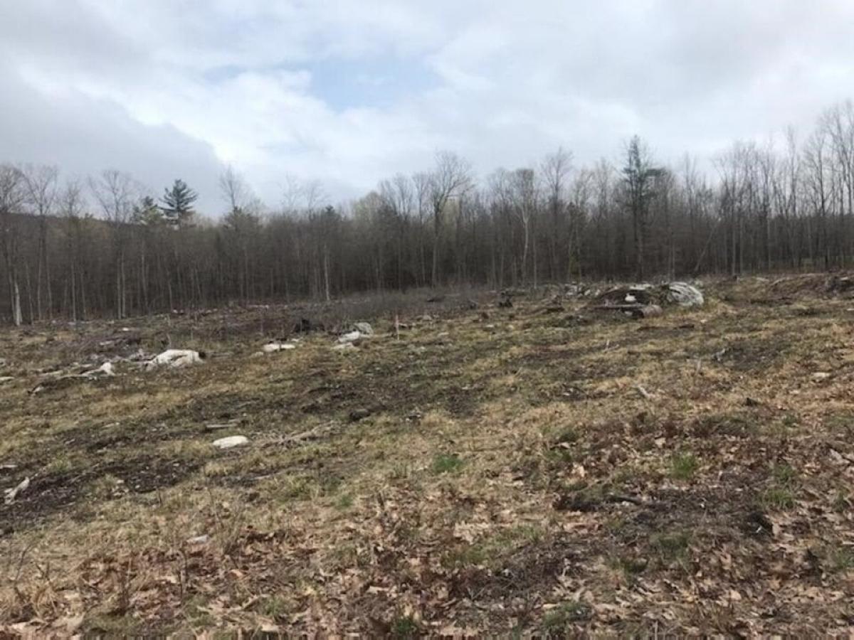 Picture of Residential Land For Sale in Moultonborough, New Hampshire, United States