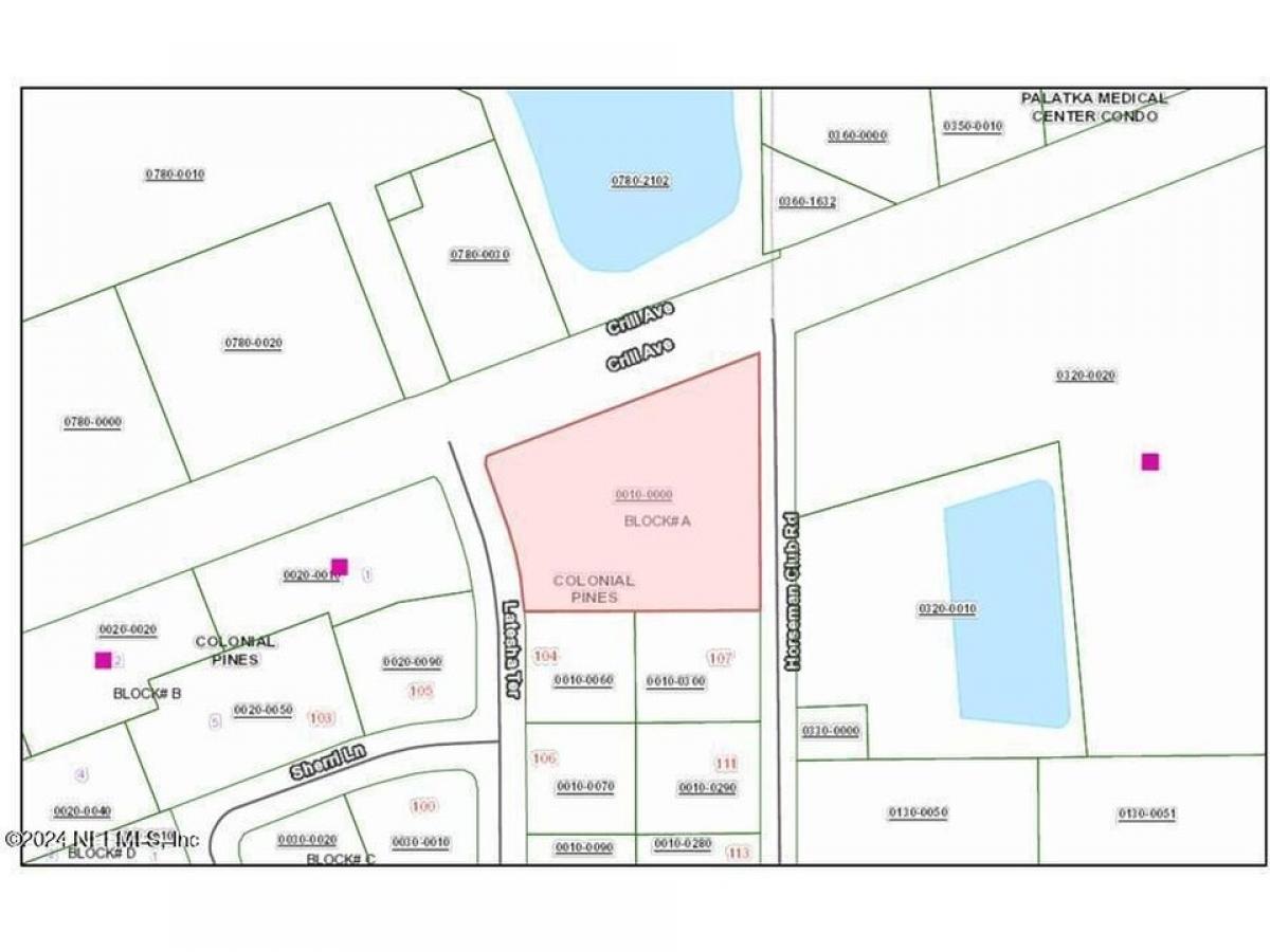 Picture of Residential Land For Sale in Palatka, Florida, United States