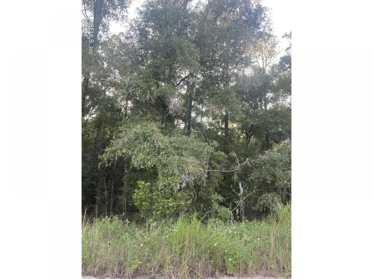 Picture of Residential Land For Sale in Hawthorne, Florida, United States