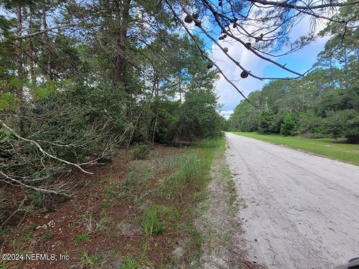 Picture of Residential Land For Sale in Georgetown, Florida, United States