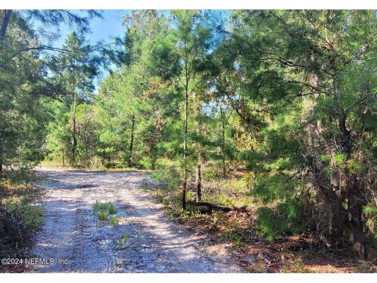 Picture of Residential Land For Sale in Pomona Park, Florida, United States