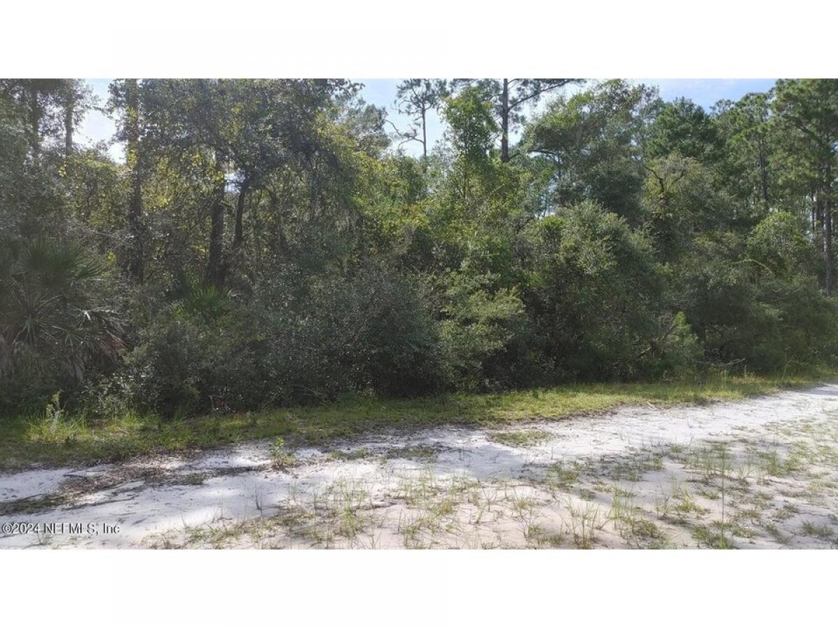 Picture of Residential Land For Sale in Georgetown, Florida, United States