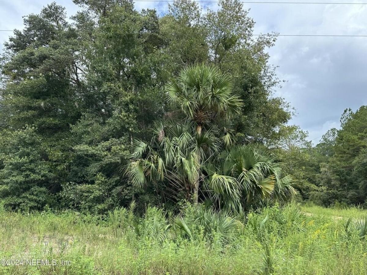 Picture of Residential Land For Sale in Interlachen, Florida, United States