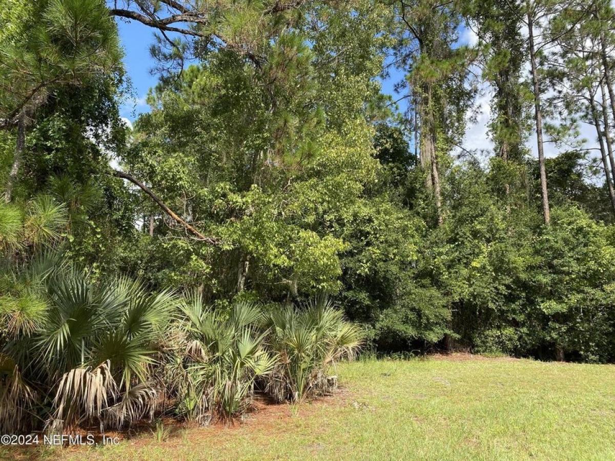 Picture of Residential Land For Sale in Georgetown, Florida, United States