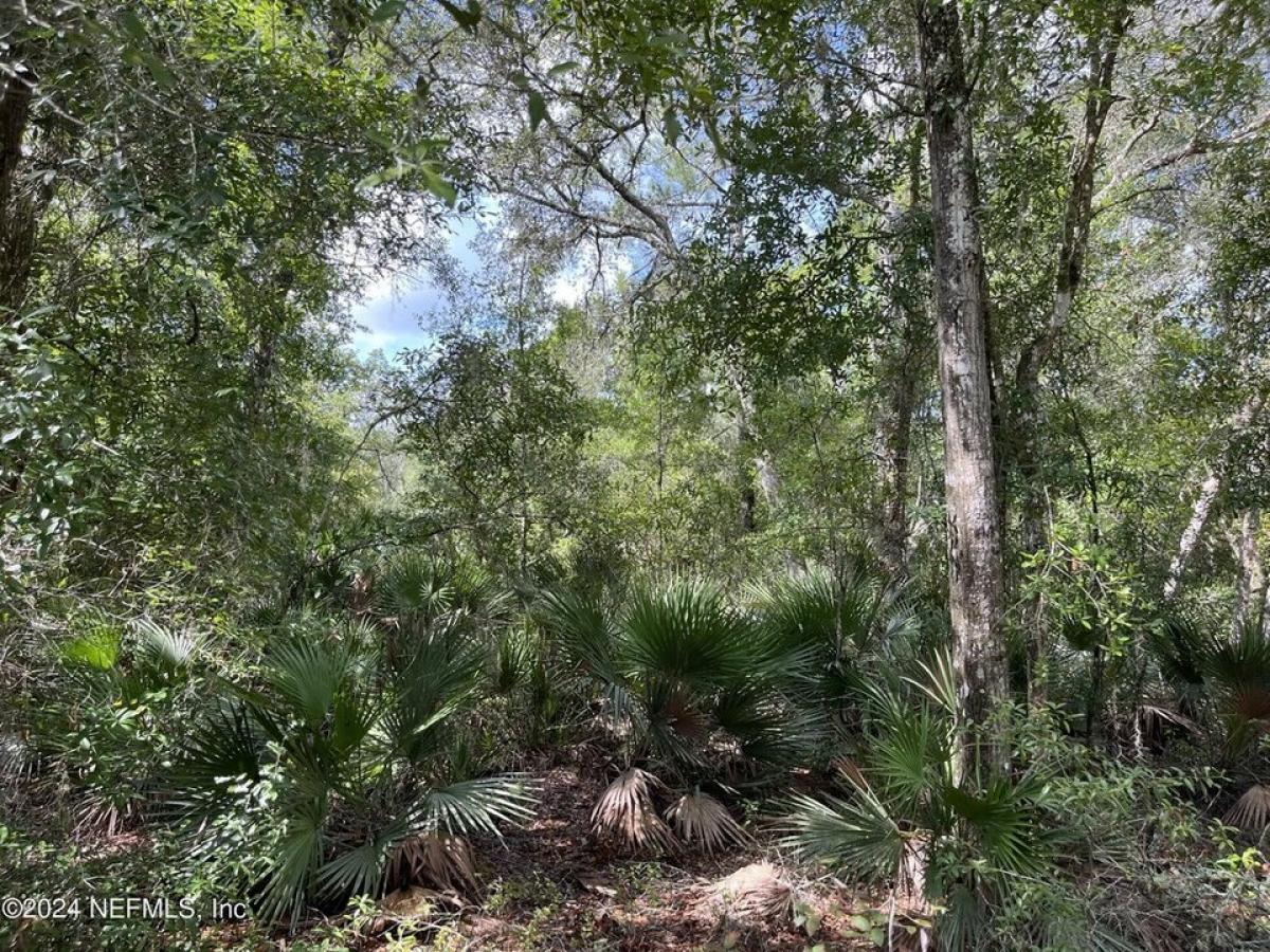 Picture of Residential Land For Sale in Satsuma, Florida, United States