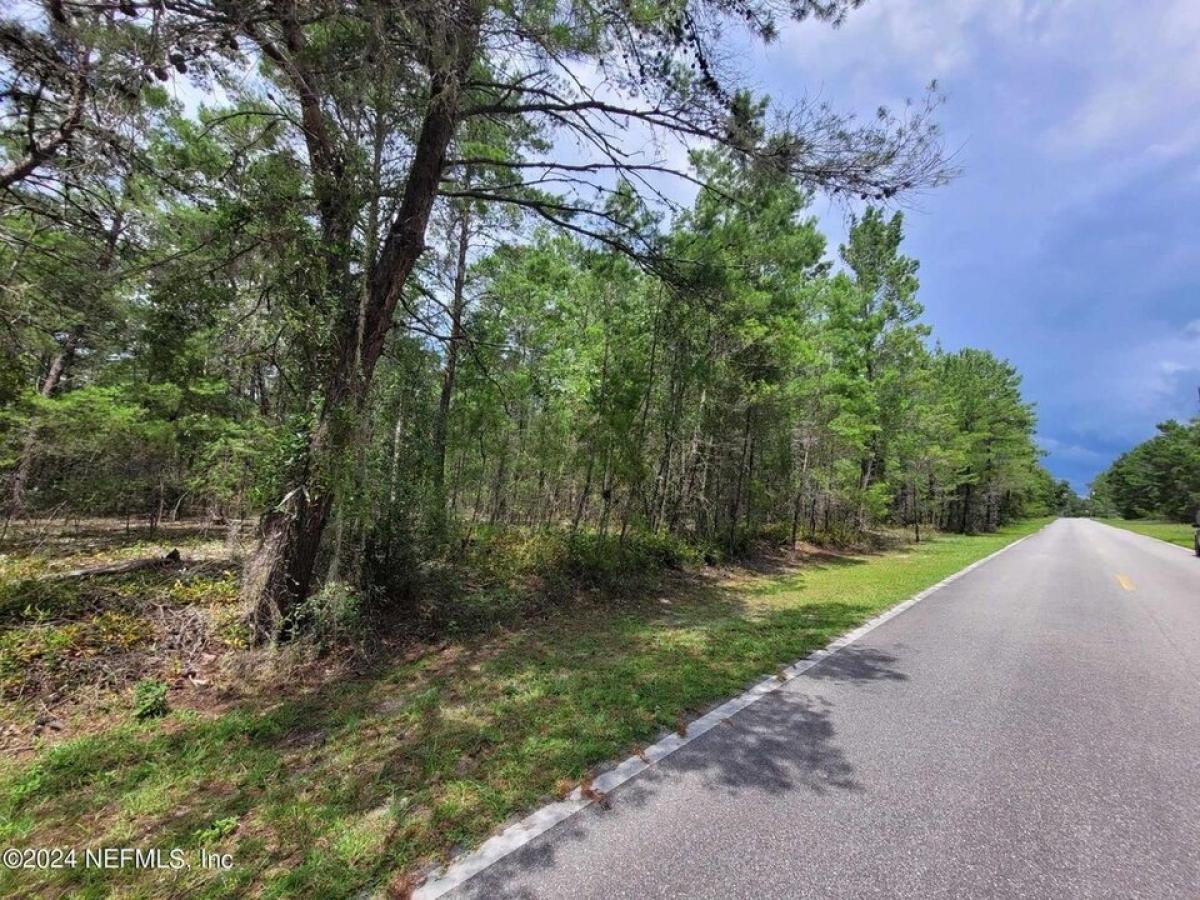 Picture of Residential Land For Sale in Pomona Park, Florida, United States