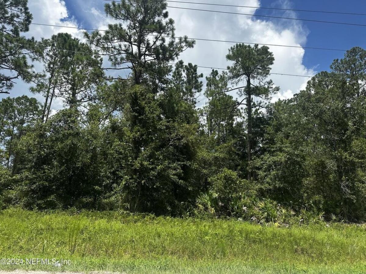 Picture of Residential Land For Rent in Interlachen, Florida, United States