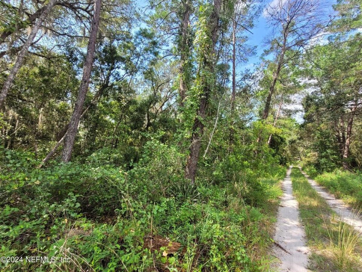 Picture of Residential Land For Sale in Crescent City, Florida, United States