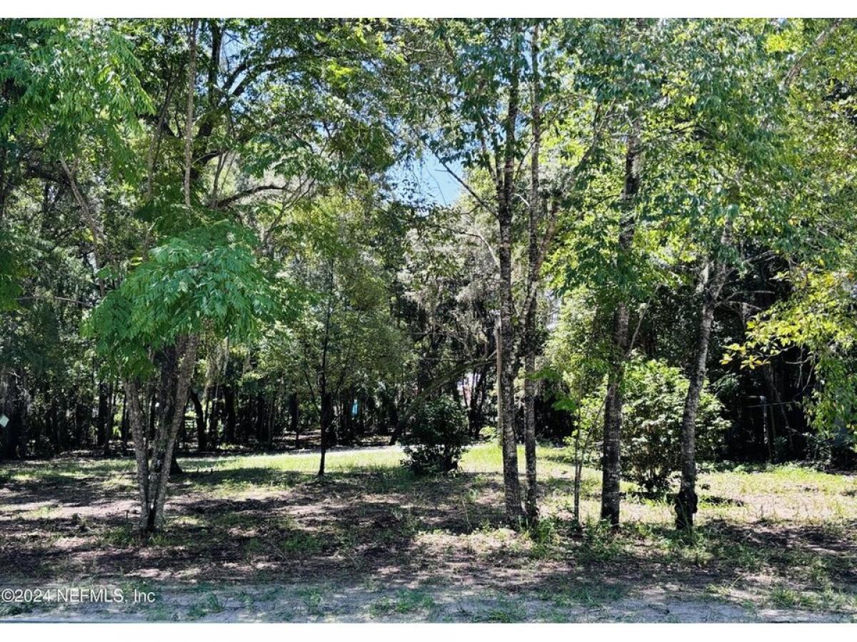 Picture of Residential Land For Sale in Pomona Park, Florida, United States