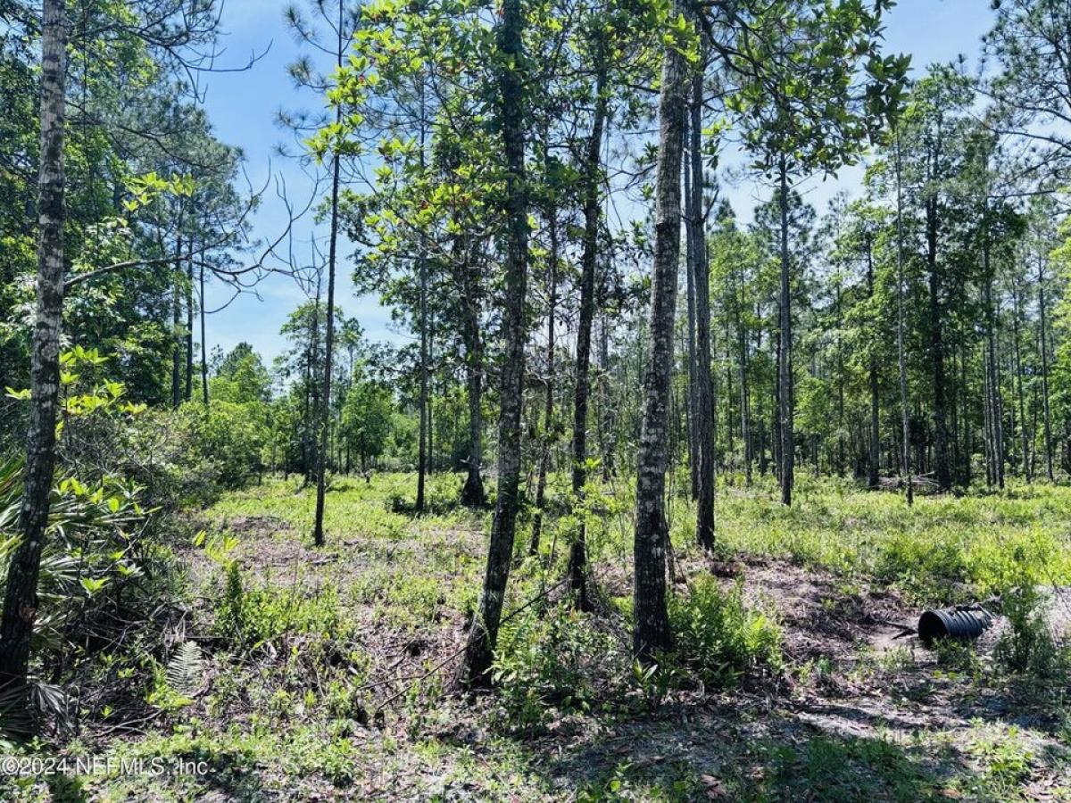 Picture of Residential Land For Sale in Palatka, Florida, United States