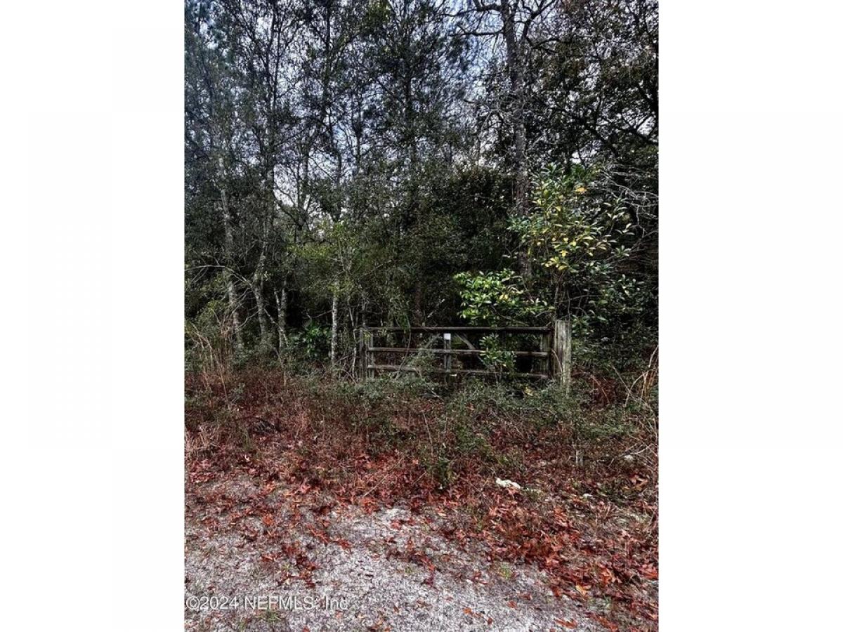 Picture of Residential Land For Sale in Middleburg, Florida, United States