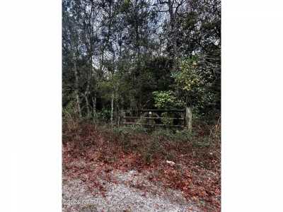 Residential Land For Sale in Middleburg, Florida