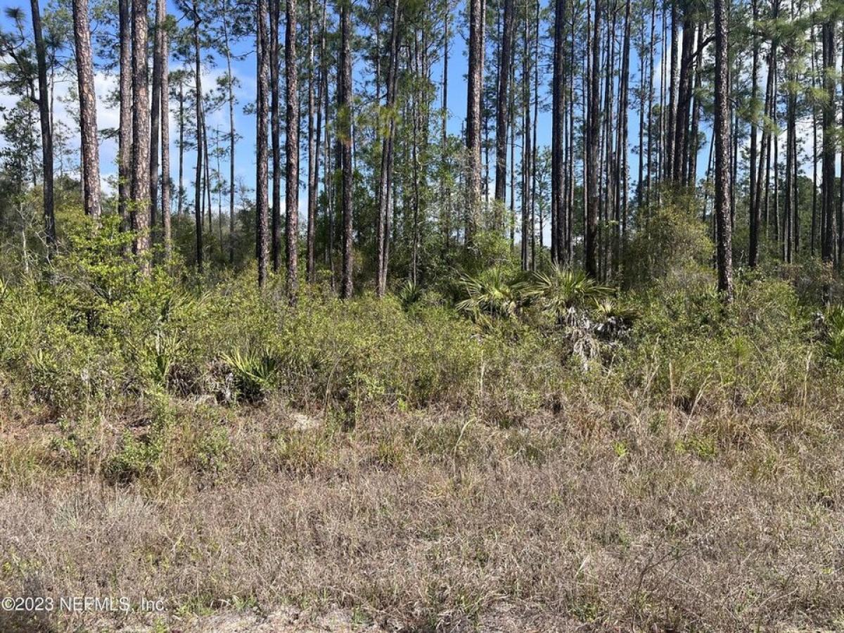 Picture of Residential Land For Sale in Interlachen, Florida, United States