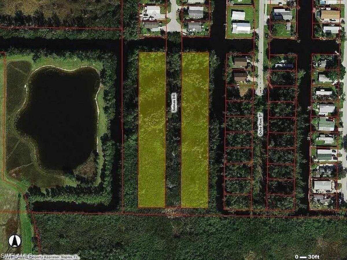 Picture of Residential Land For Sale in Naples, Florida, United States