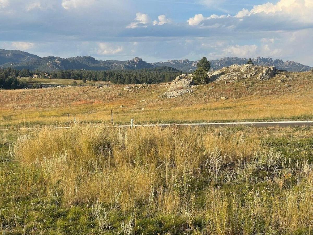 Picture of Residential Land For Sale in Custer, South Dakota, United States