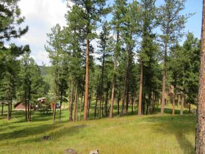 Residential Land For Sale in Hill City, South Dakota