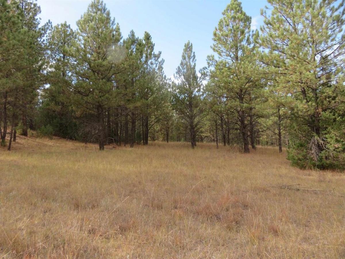 Picture of Residential Land For Sale in Custer, South Dakota, United States