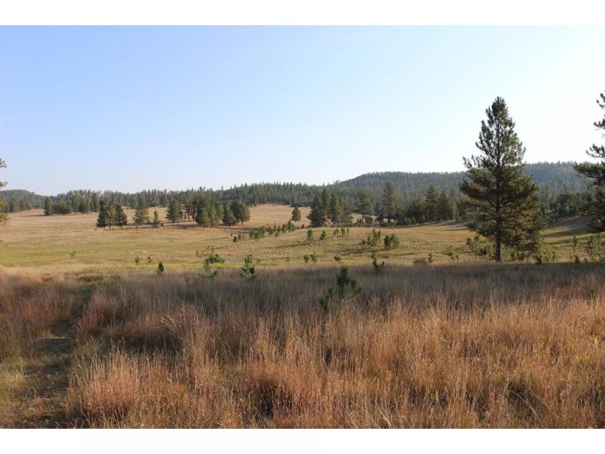 Picture of Residential Land For Sale in Custer, South Dakota, United States