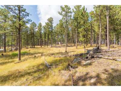 Residential Land For Sale in Custer, South Dakota