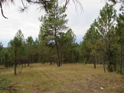 Residential Land For Sale in Custer, South Dakota