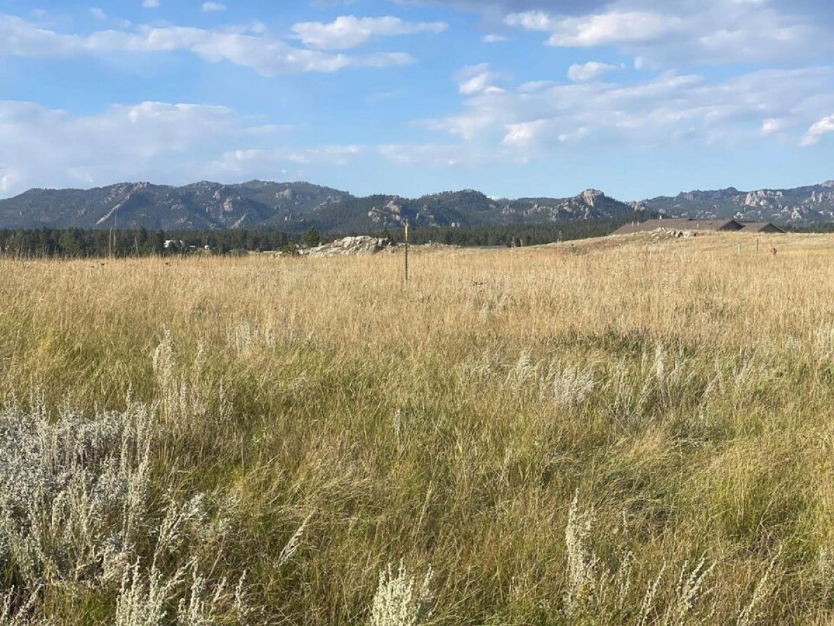 Picture of Residential Land For Sale in Custer, South Dakota, United States