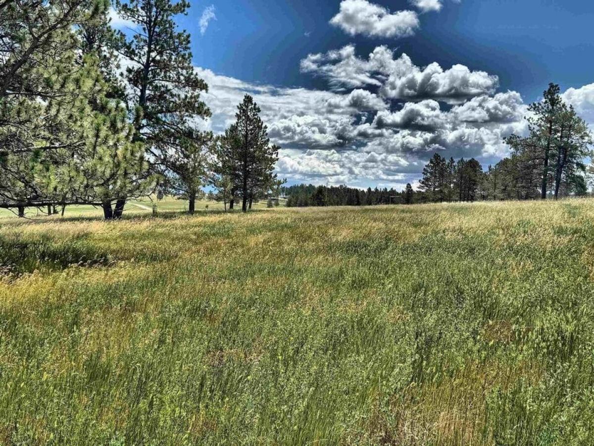 Picture of Residential Land For Sale in Custer, South Dakota, United States