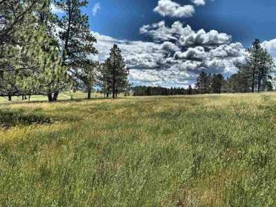 Residential Land For Sale in Custer, South Dakota