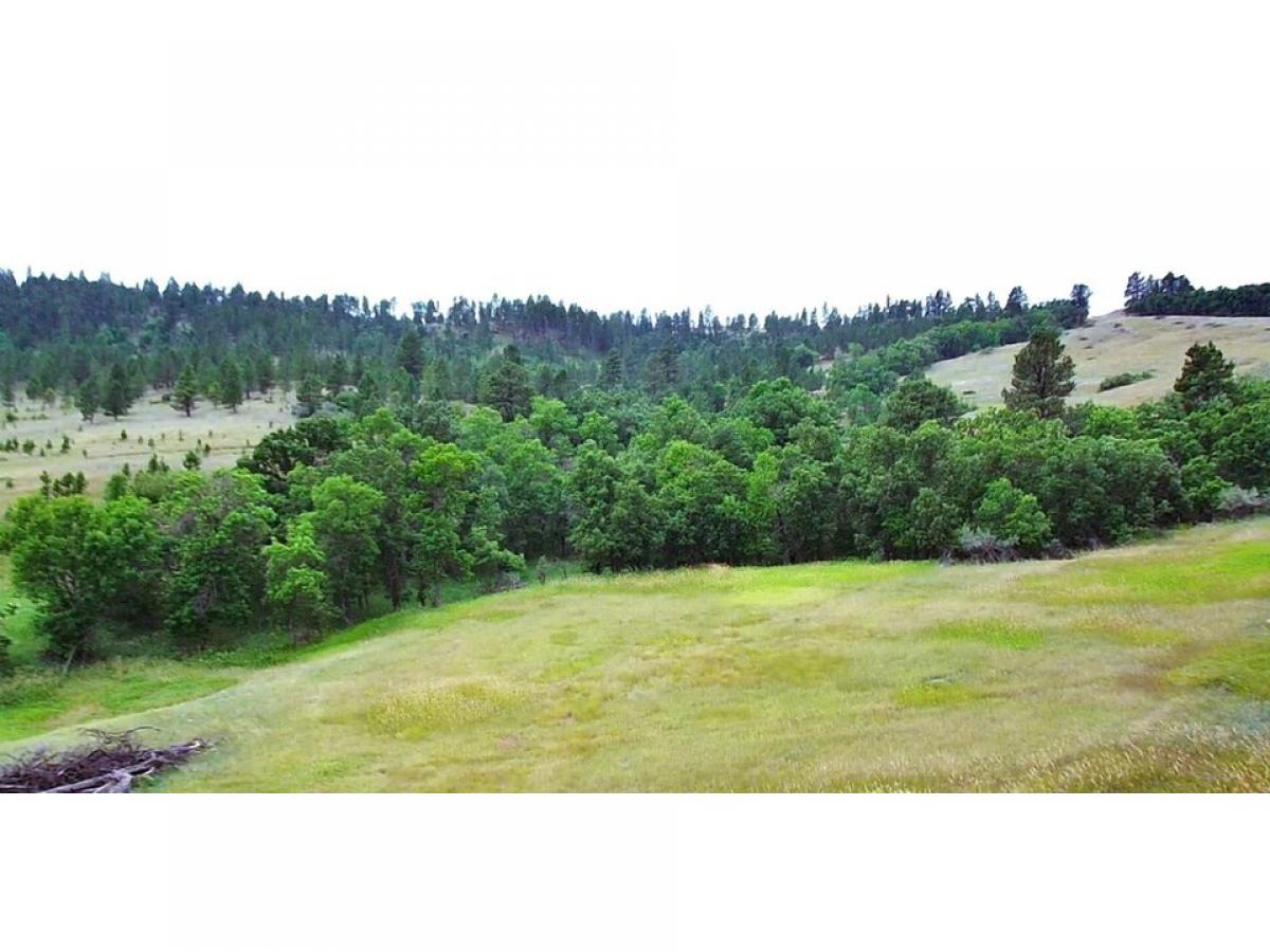 Picture of Residential Land For Sale in Hulett, Wyoming, United States