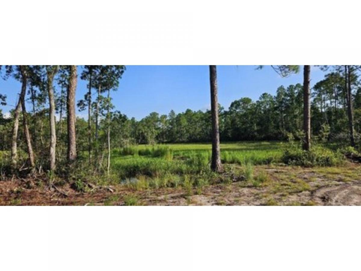 Picture of Residential Land For Sale in Fort Mc Coy, Florida, United States