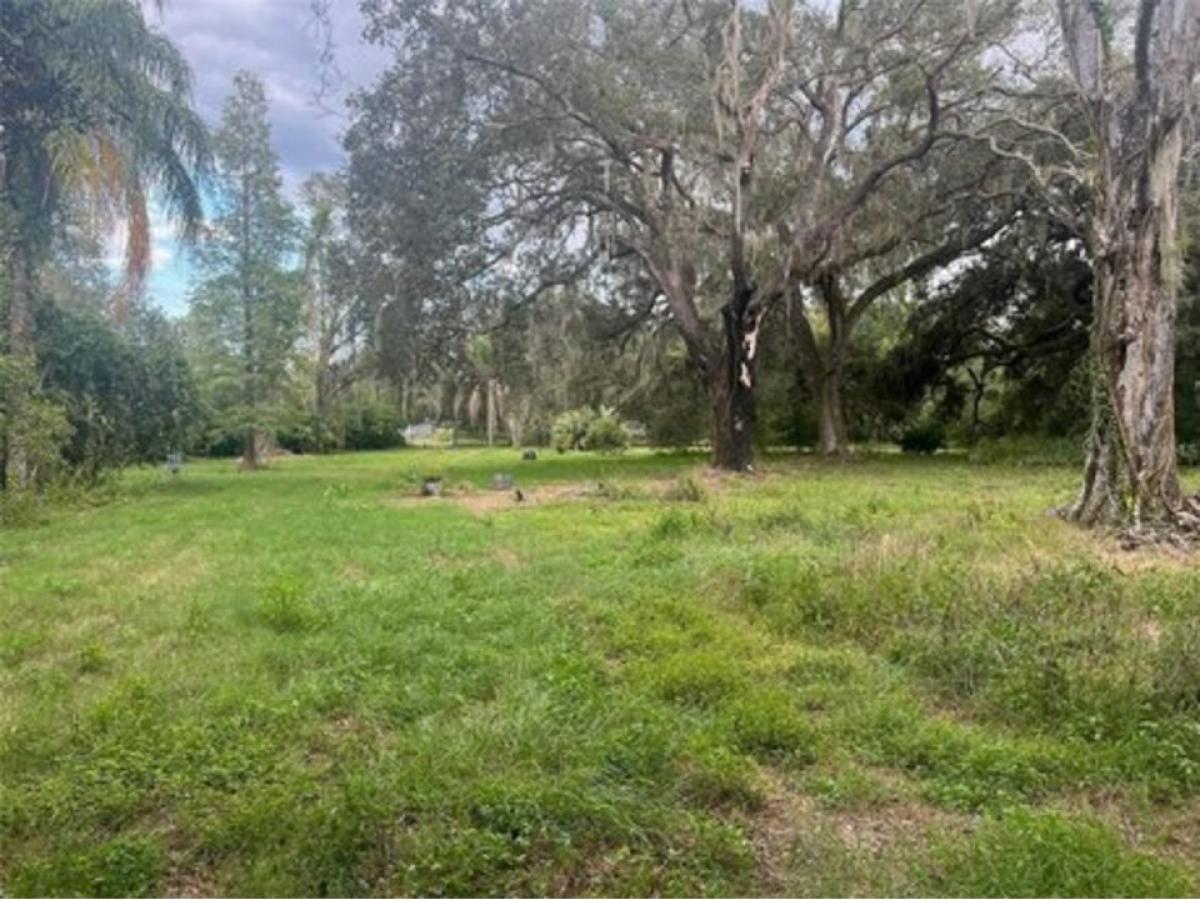 Picture of Residential Land For Sale in Wesley Chapel, Florida, United States