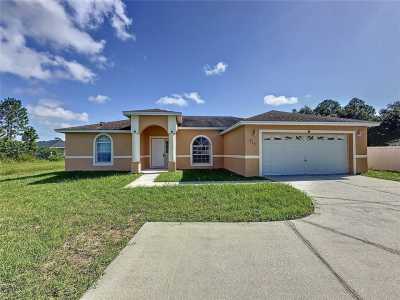 Home For Sale in Kissimmee, Florida