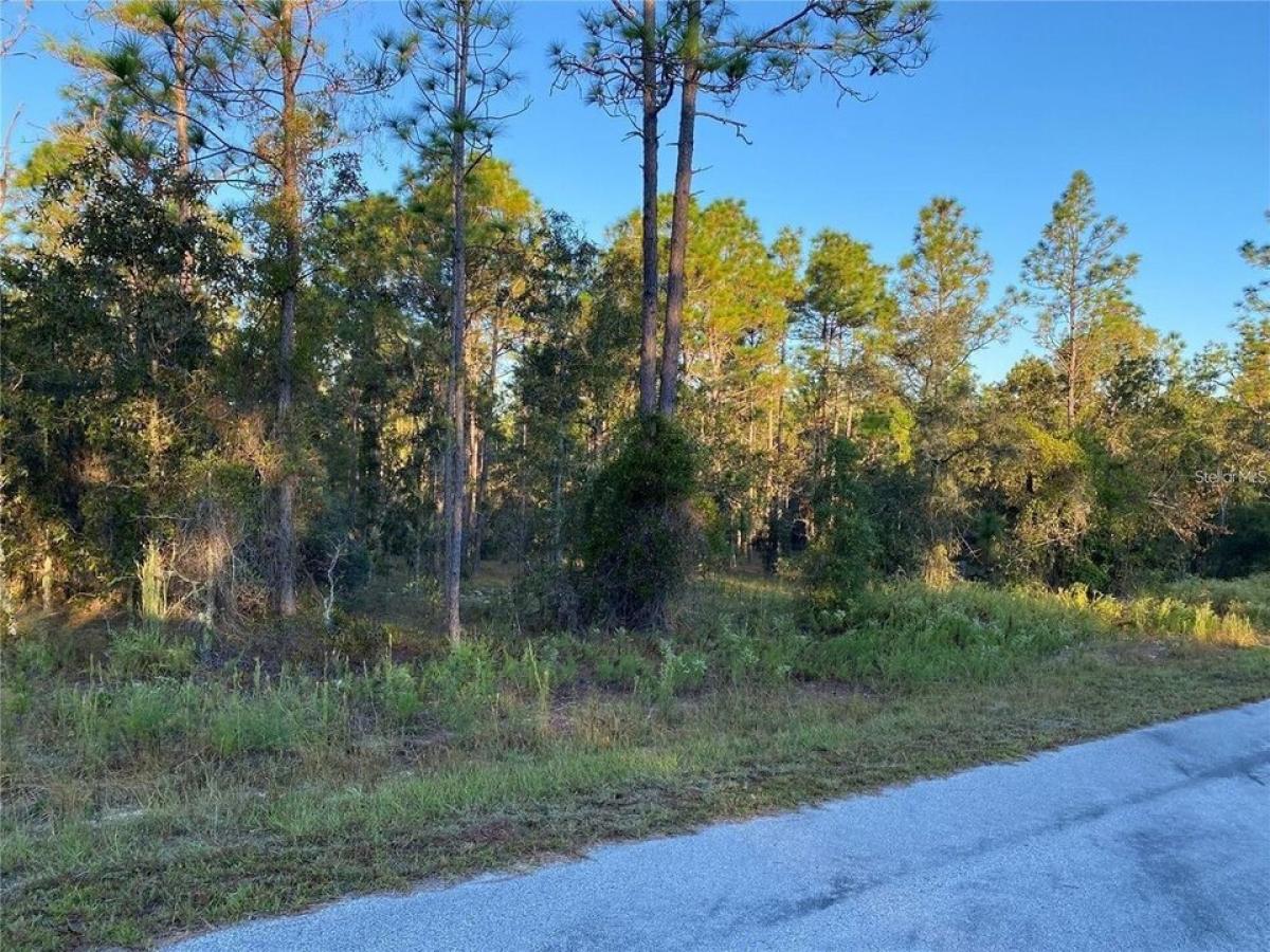 Picture of Residential Land For Sale in Dunnellon, Florida, United States