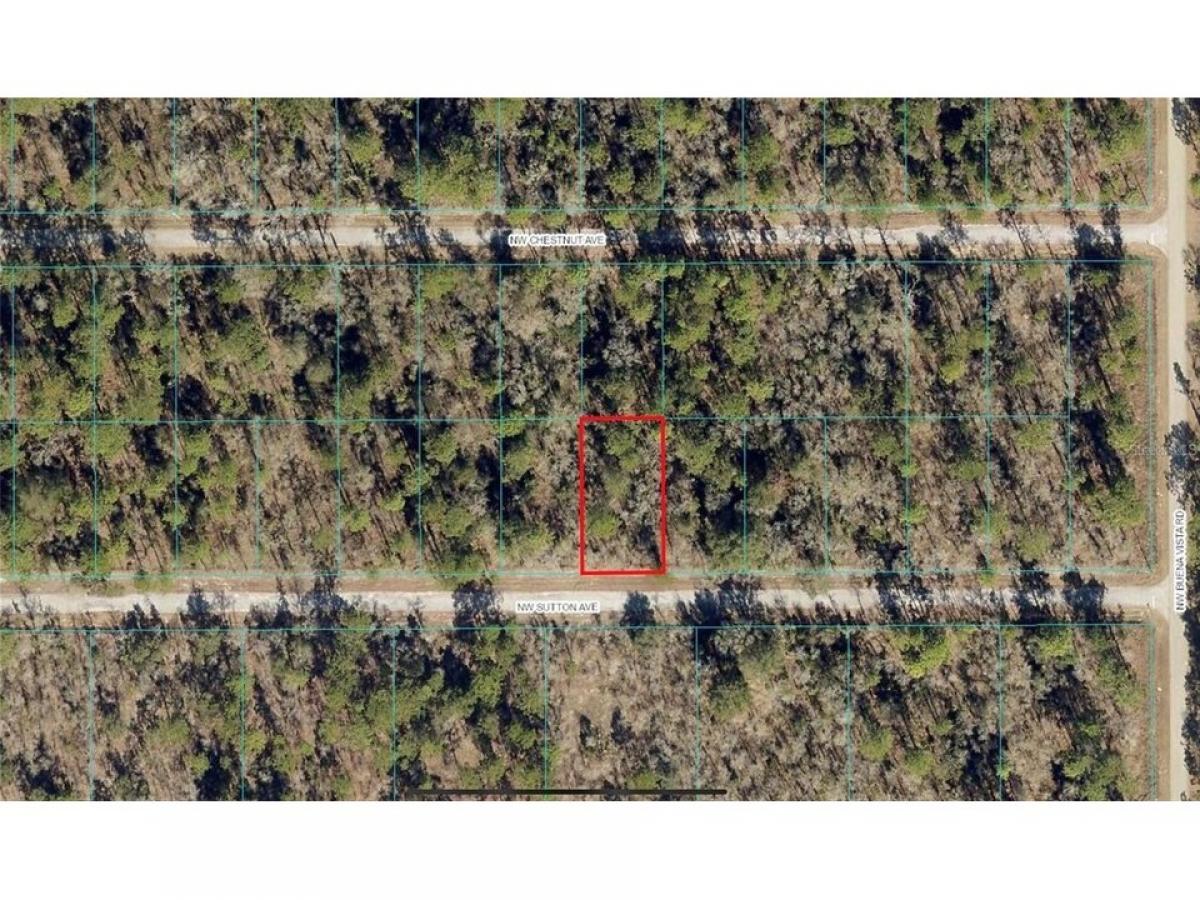 Picture of Residential Land For Sale in Dunnellon, Florida, United States