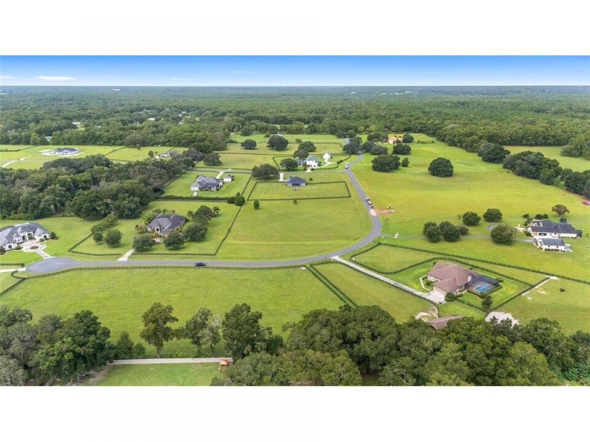 Picture of Residential Land For Sale in Ocala, Florida, United States