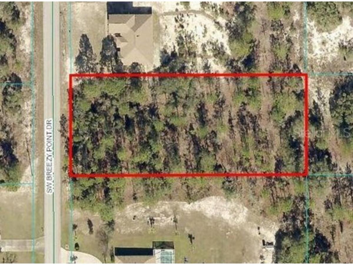 Picture of Residential Land For Sale in Dunnellon, Florida, United States