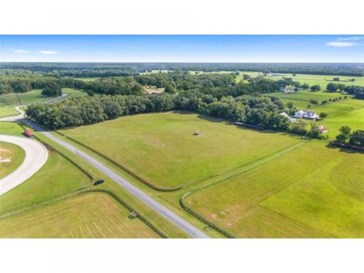 Picture of Residential Land For Sale in Citra, Florida, United States