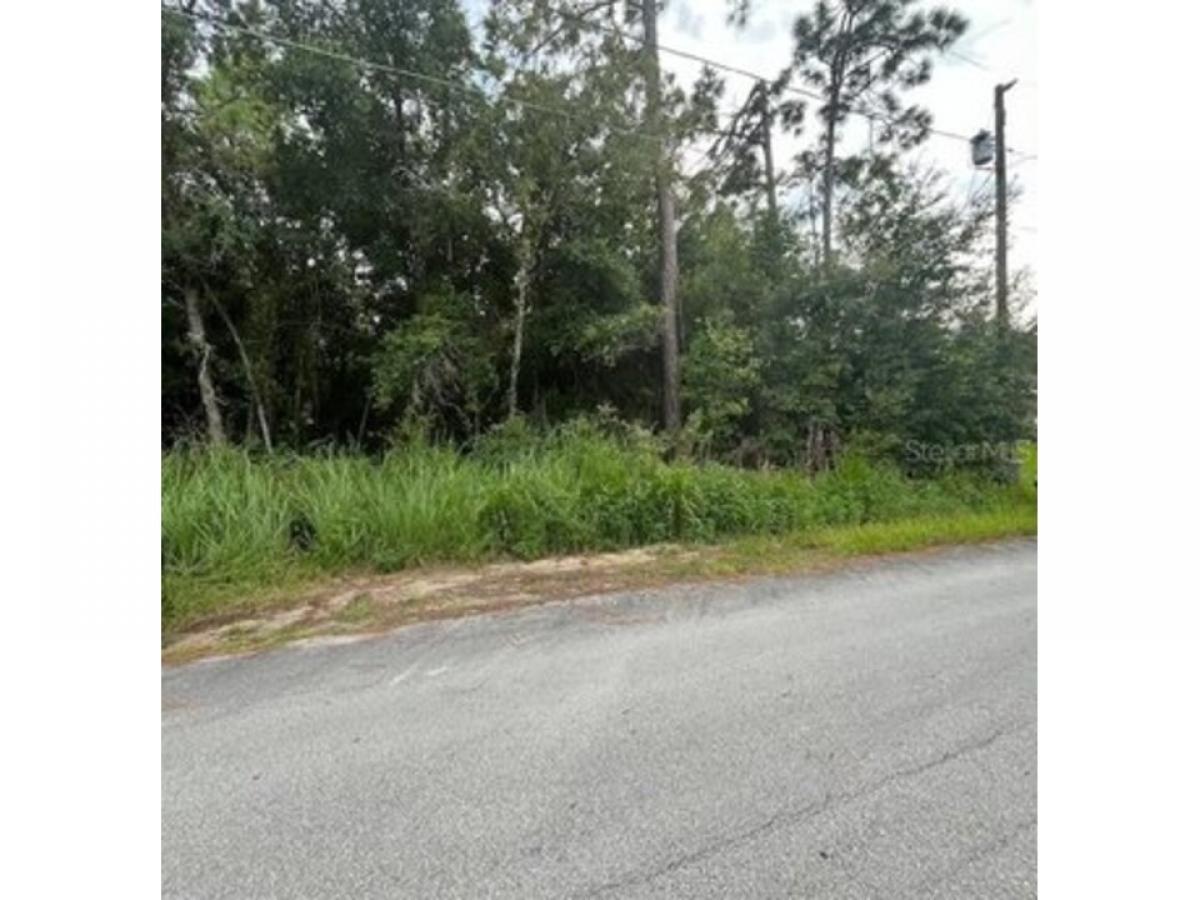 Picture of Residential Land For Sale in Ocala, Florida, United States