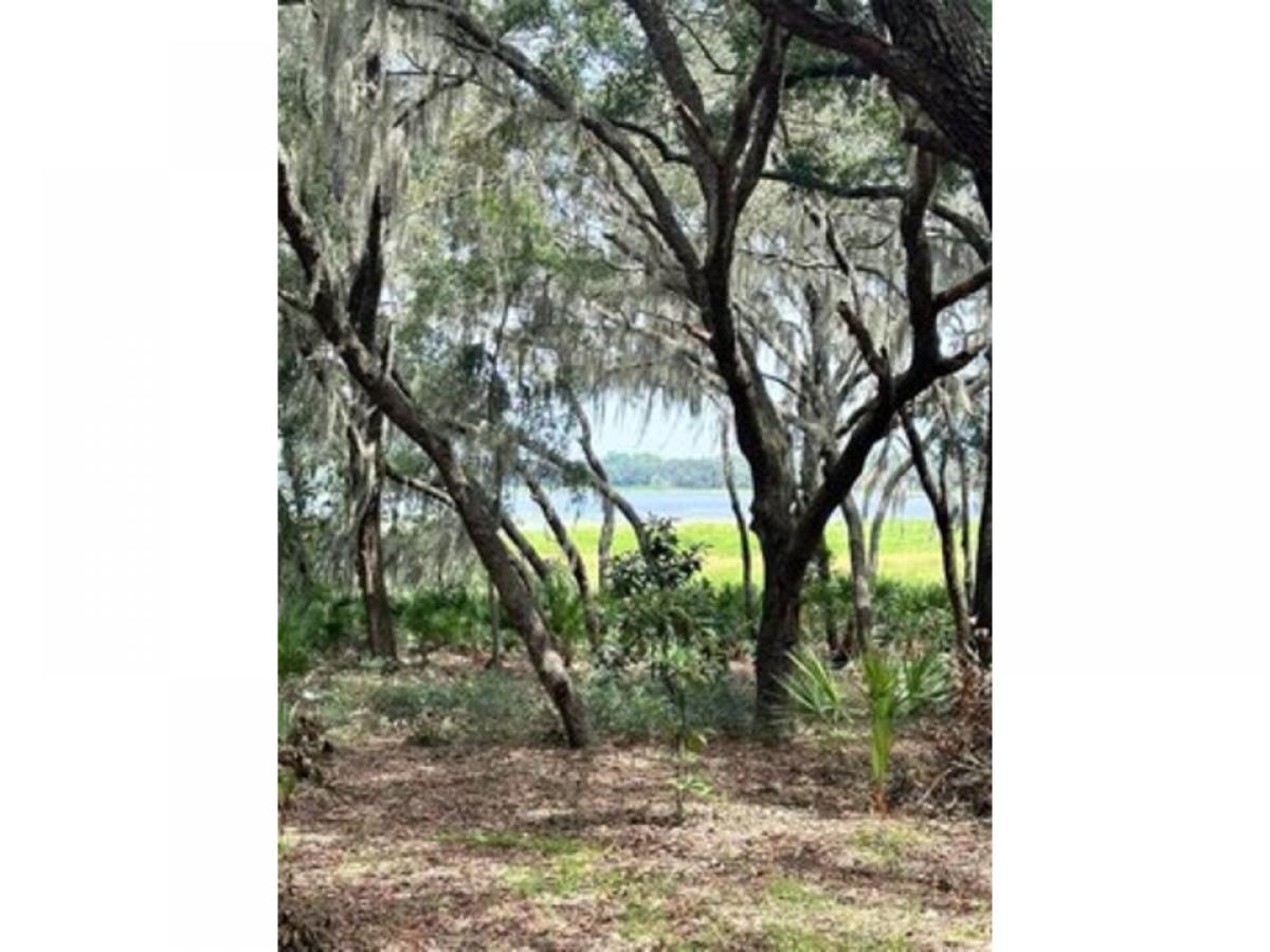 Picture of Residential Land For Sale in Dunnellon, Florida, United States