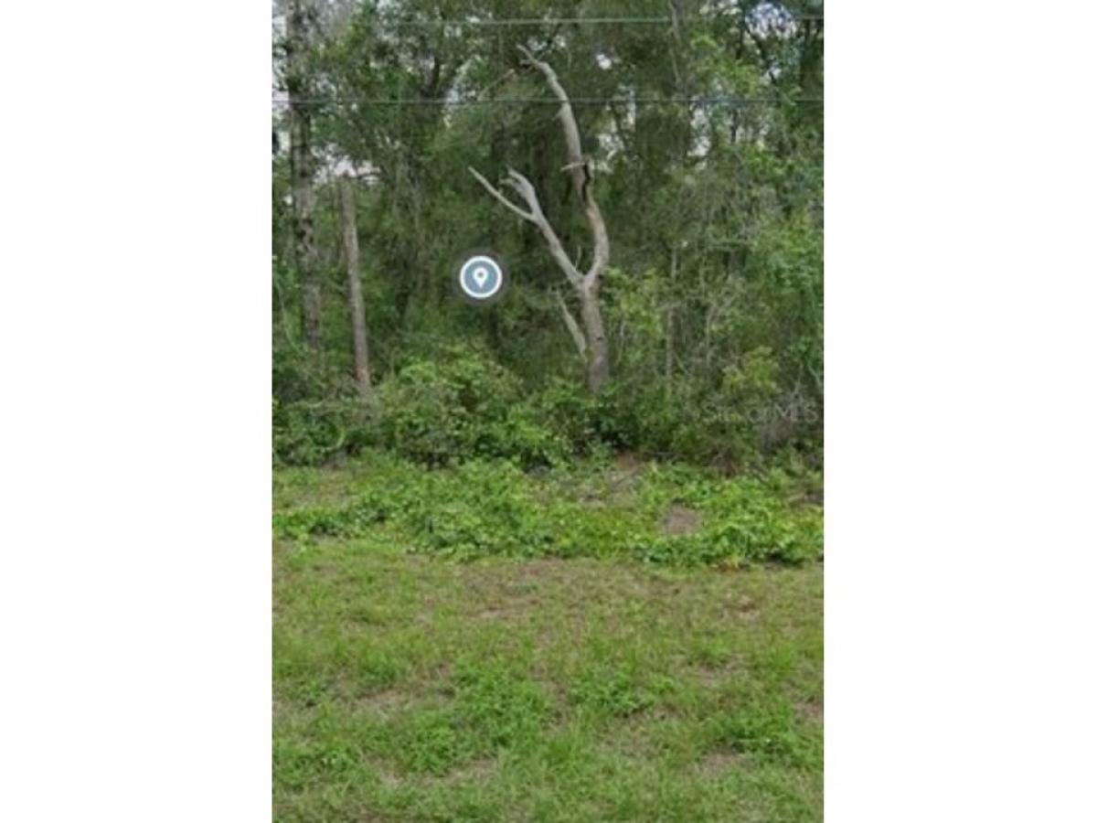 Picture of Residential Land For Sale in Inverness, Florida, United States