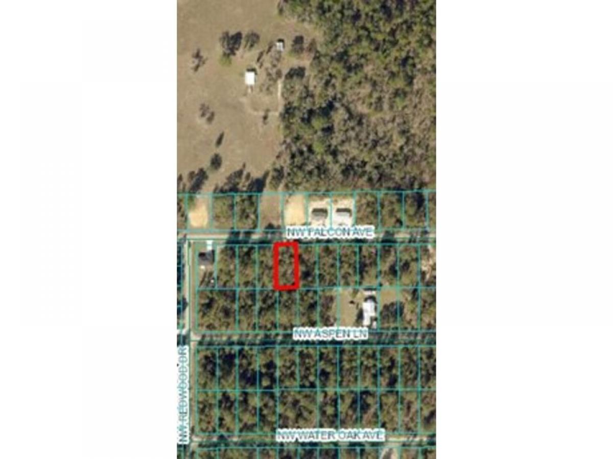 Picture of Residential Land For Sale in Dunnellon, Florida, United States