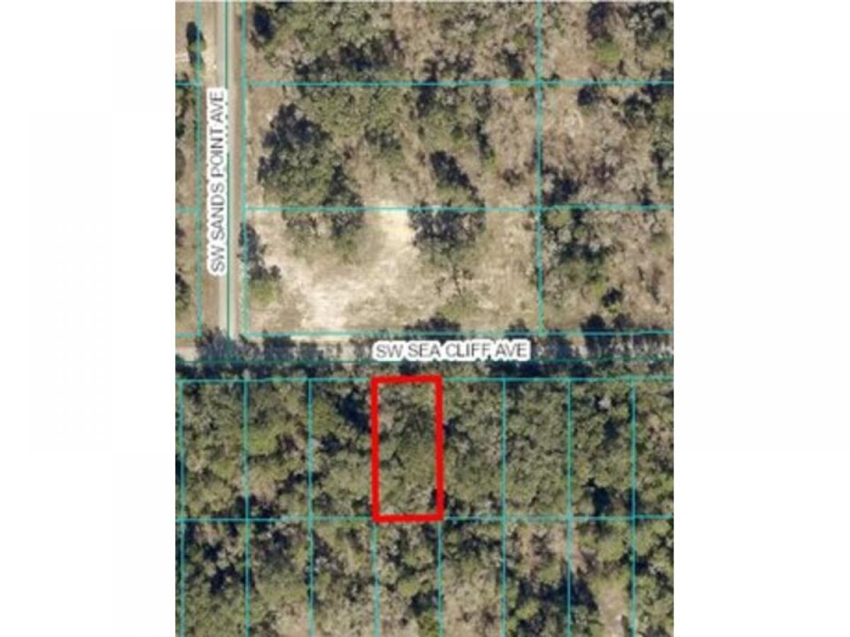 Picture of Residential Land For Sale in Dunnellon, Florida, United States