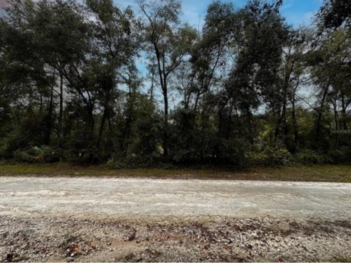 Picture of Residential Land For Sale in Dunnellon, Florida, United States