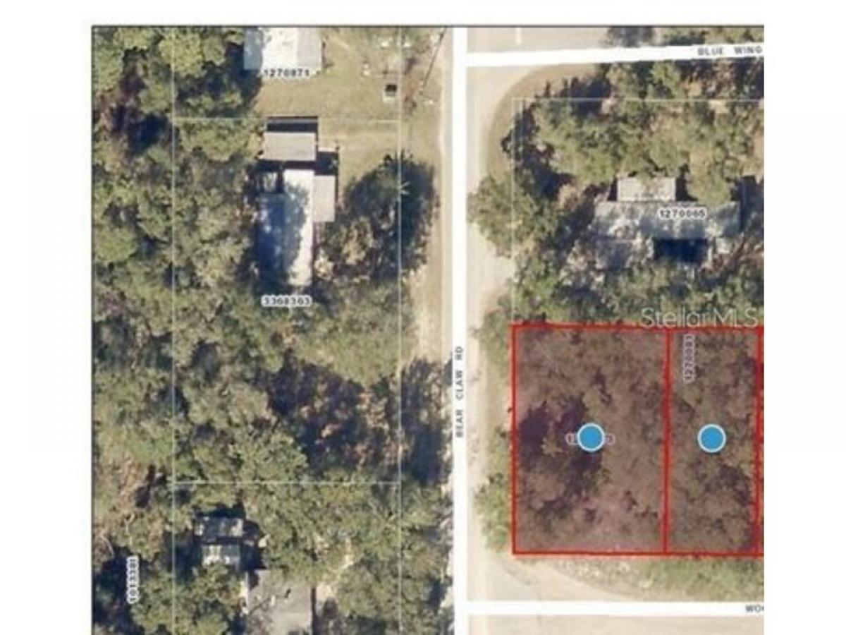 Picture of Residential Land For Sale in Altoona, Florida, United States